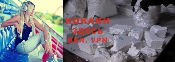 индика Армянск