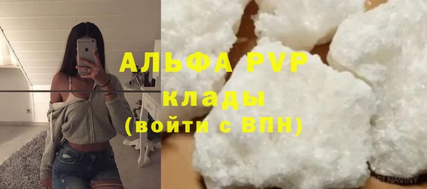 индика Армянск