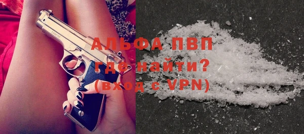 индика Армянск