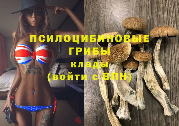 мескалин Арсеньев