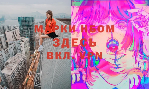 индика Армянск