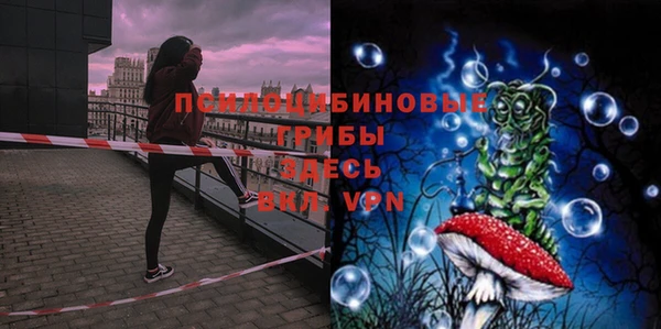 мескалин Арсеньев