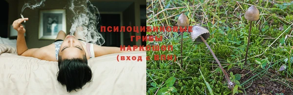 индика Армянск