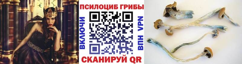купить наркотик  Сосновка  гидра ссылка  Псилоцибиновые грибы ЛСД 