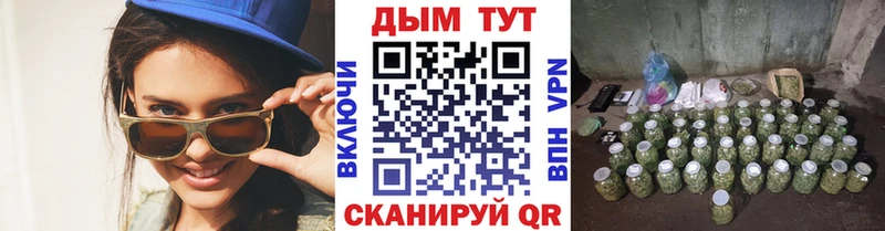 Каннабис план  Сосновка 